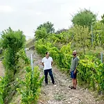 Casa Pichon Etxea Con Degustacion Vinos Muro *