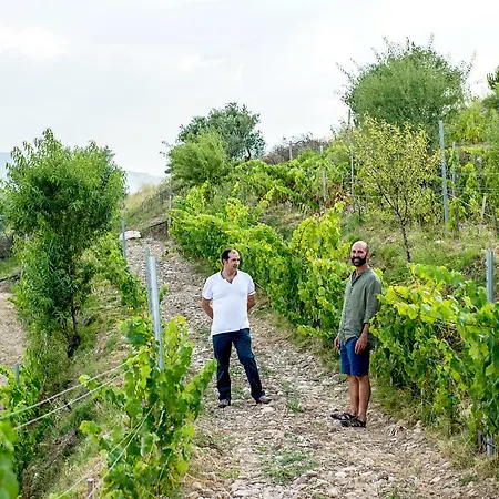 Casa Pichon Etxea Con Degustacion Vinos Muro *